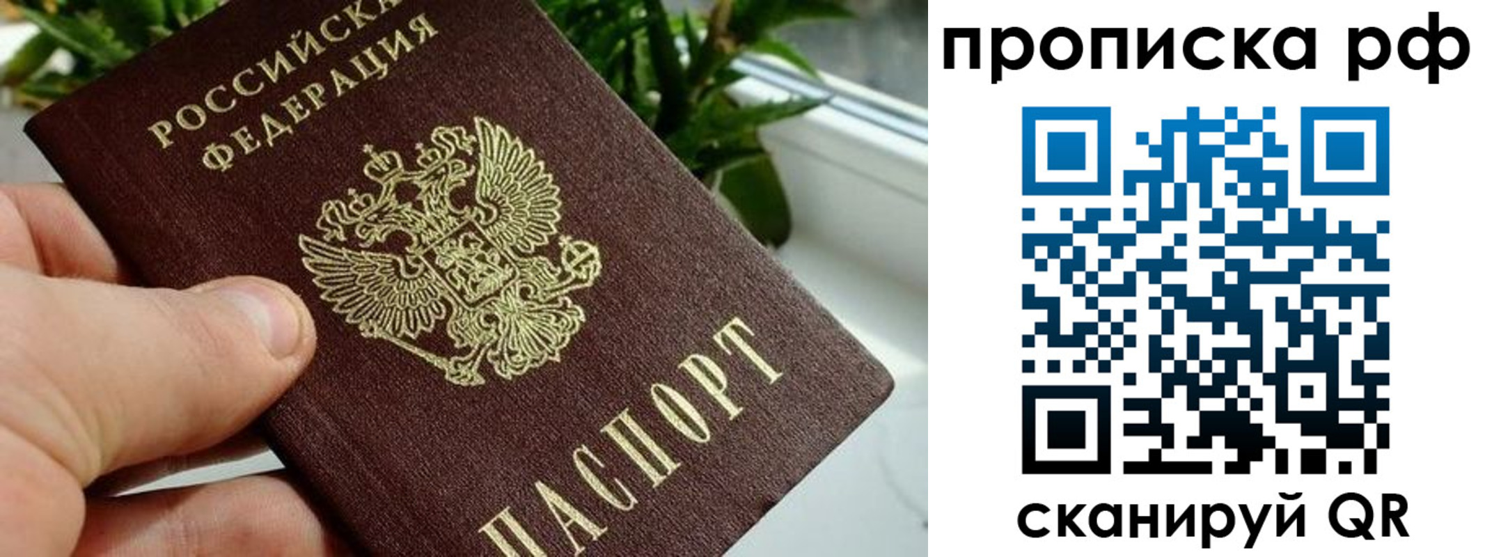временная регистрация купить в Иваново